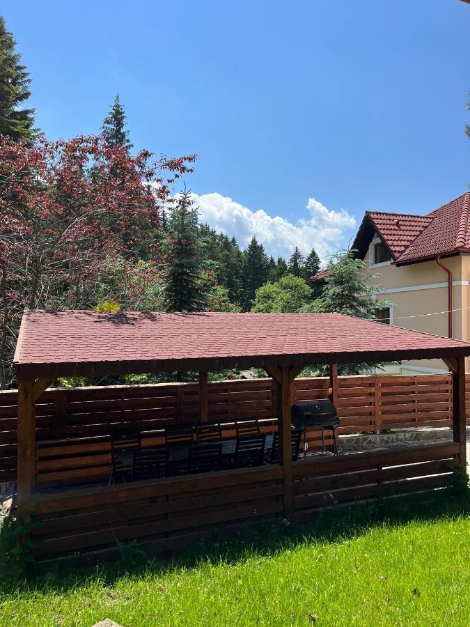 Vila 7 Predeal - Unique Location In The Forest Kültér fotó